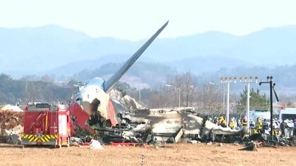 韓国南西部の空港で旅客機着陸失敗し炎上しこれまでに176人死亡　韓国メディア「バードストライク」原因か　専門家「機体トラブル」の可能性指摘　