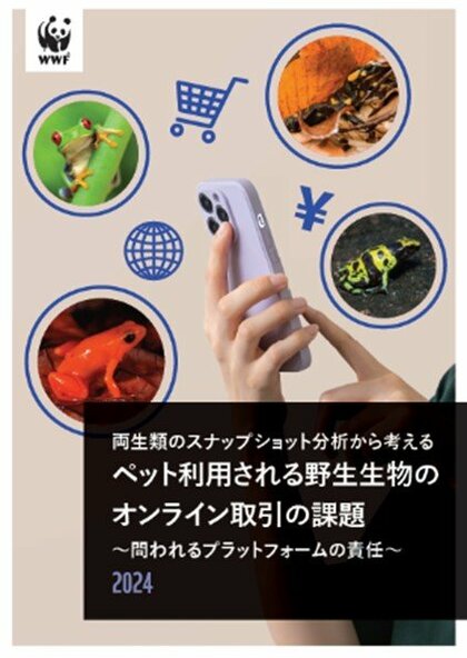 「両生類のオンライン取引レポート」を発表 絶滅の恐れのある両生類が、インターネットで販売されている実態が明らかに