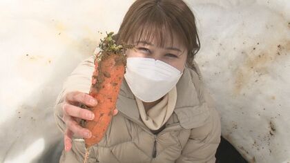 女性アナも参戦　「雪下にんじん」掘り競争　豪雪でより甘く…記録的大雪の新潟・津南町で