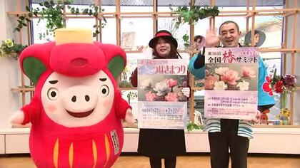 大船渡市・つばきまつりをＰＲ　1月25日から開催　岩手県