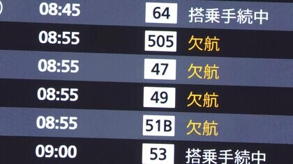 羽田空港は混乱…ANA95便欠航で約1万3200人に影響　エアバスA320不具合で30日以降も遅延・欠航相次ぐ可能性