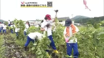 児童が軽トラック3台分のエダマメ収穫　考案したレシピでオリジナル商品作り学校で販売へ　秋田・大館市