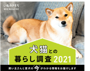 いぬ ねこのきもちweb 犬猫との暮らし調査21最新版 犬猫飼い主の52 が 家族の会話が増えた と回答 犬 猫の 家族化が進む一方で 飼育への意識の高さも顕著に