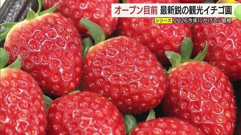 出雲大社のおひざ元に中国地方最大規模のいちご狩りスポットオープンへ　IT導入し若手スタッフ就農　島根