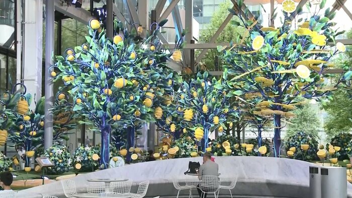 700個を超えるレモンの実がオブジェとなって幻想的な空間を演出
