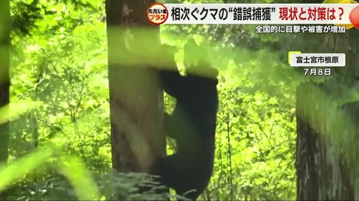 富士宮市根原(7月8日)