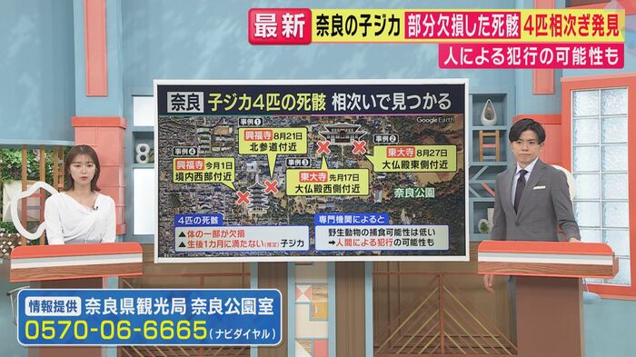 情報提供を求めている(関西テレビ「旬感LIVEとれたてっ!」より)