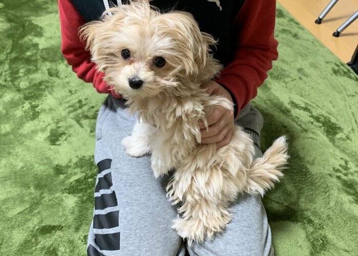 家族として迎え入れた当初のみるくちゃん