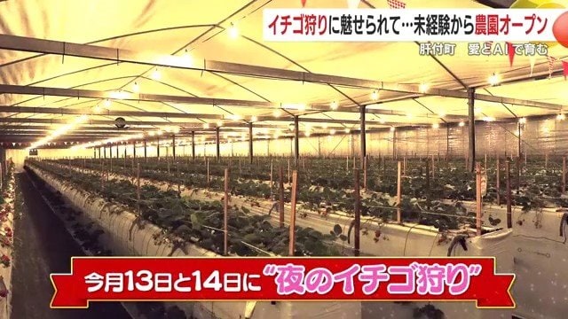 2月13日～14日限定「夜のイチゴ狩り」