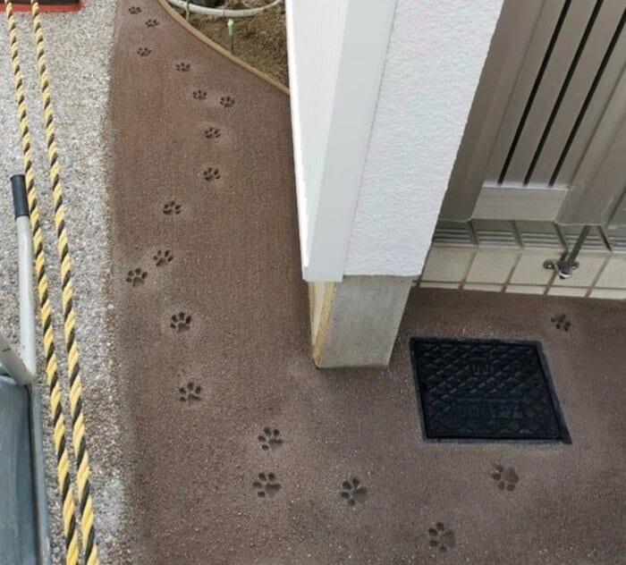 玄関に可愛い猫の足跡