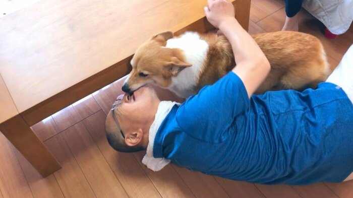 ベルちゃんはお父さんが大好き。テーブルを組み立てたときにもこの様子