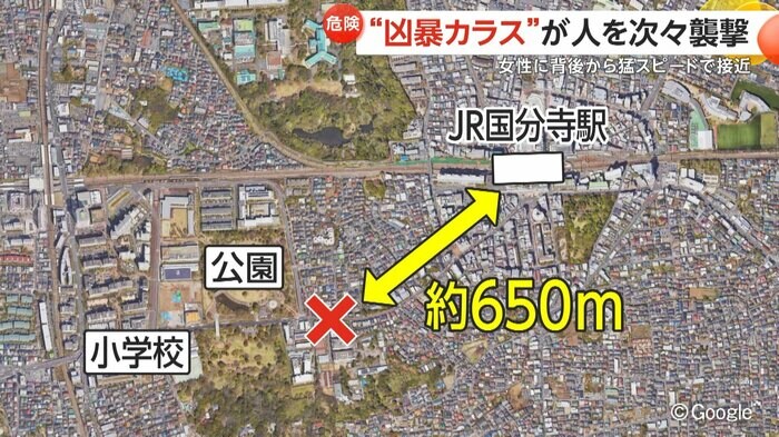 現場はJR国分寺駅から約650メートルの場所