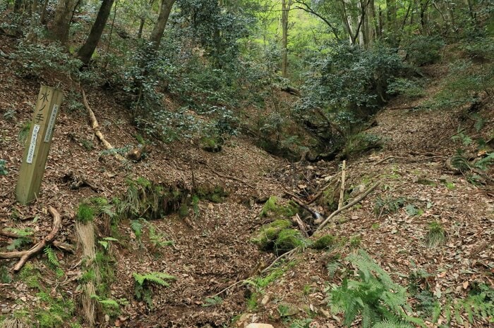 合流点から支流を見上げる。左に「水ノ手」の標柱が