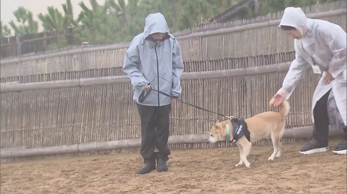 鳥取砂丘に愛犬「佐馬助」も