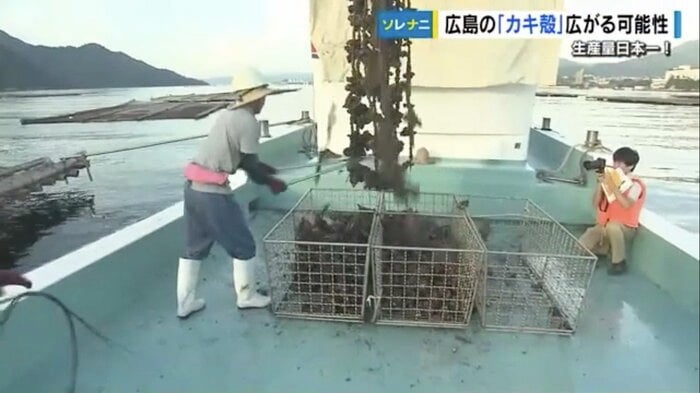 カキの水揚げ