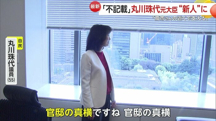 衆院“新人”の丸川珠代議員