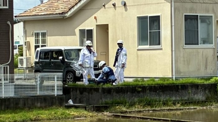 クマの捜索する警察（1日午前）