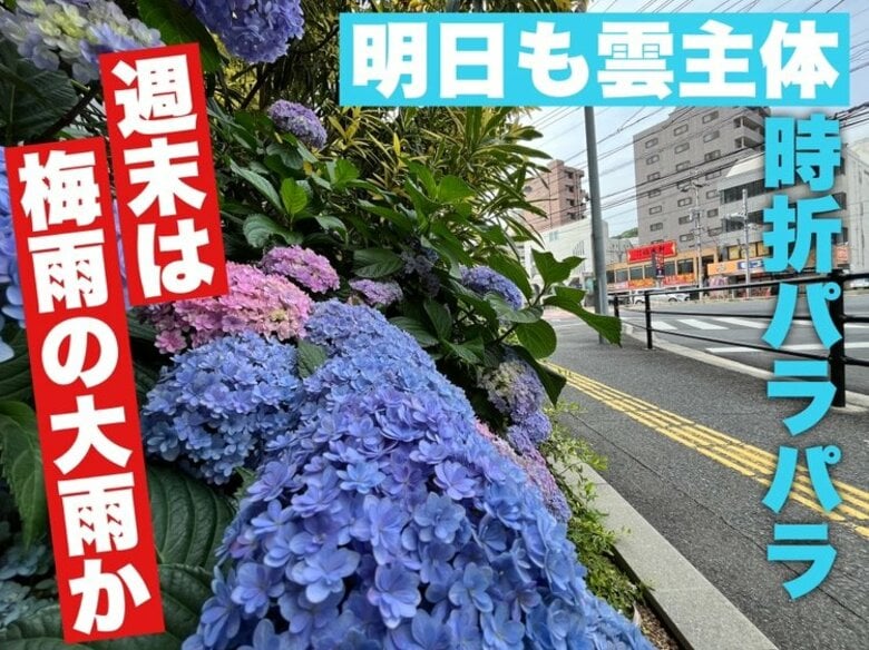 【広島の天気】6/13(金)はスッキリしない梅雨空…時折パラパラと 土日は警報級大雨の可能性も｜FNNプライムオンライン