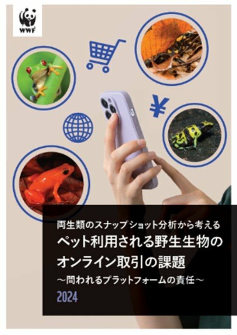 「両生類のオンライン取引レポート」を発表 絶滅の恐れのある両生類が、インターネットで販売されている実態が明らかに
