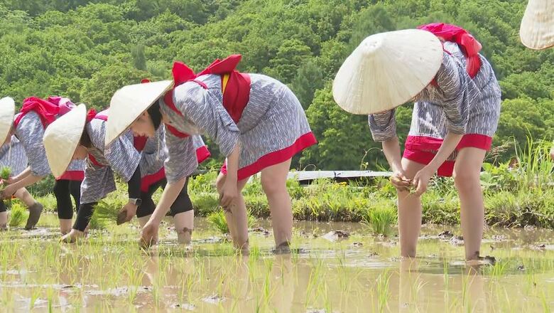 「米が高い」「買えない」価格高騰で応募殺到　「田んぼのオーナー制度」が全国的に注目　米作りを体験でき収穫した米を得られる｜FNNプライムオンライン