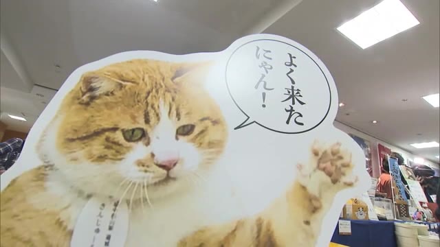 伝統工芸品やお菓子が約120種類!高梁市のグルメや工芸品を集めた物産展【岡山・岡山市】