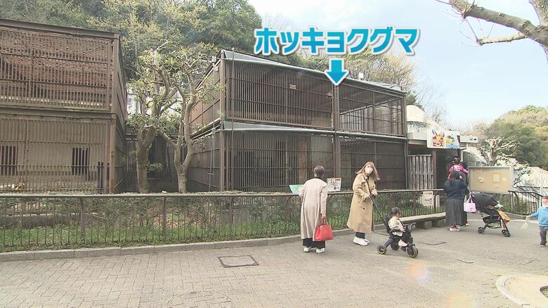 北はホッキョクグマという並び