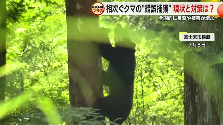 富士宮市根原（7月8日）