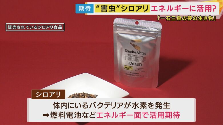 シロアリ食品