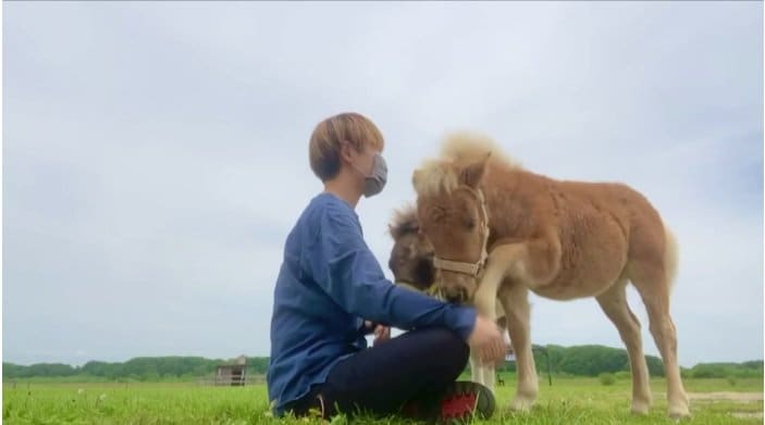 （提供：おひさま牧場）