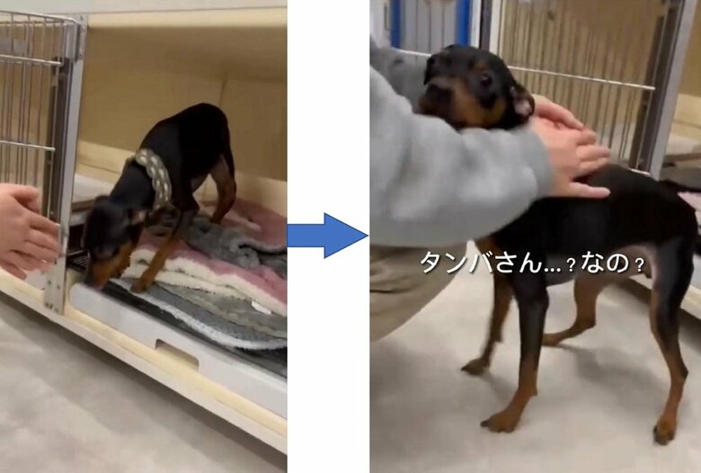 ホテルスタッフさんに呼ばれて、そっと近寄るタンバくん