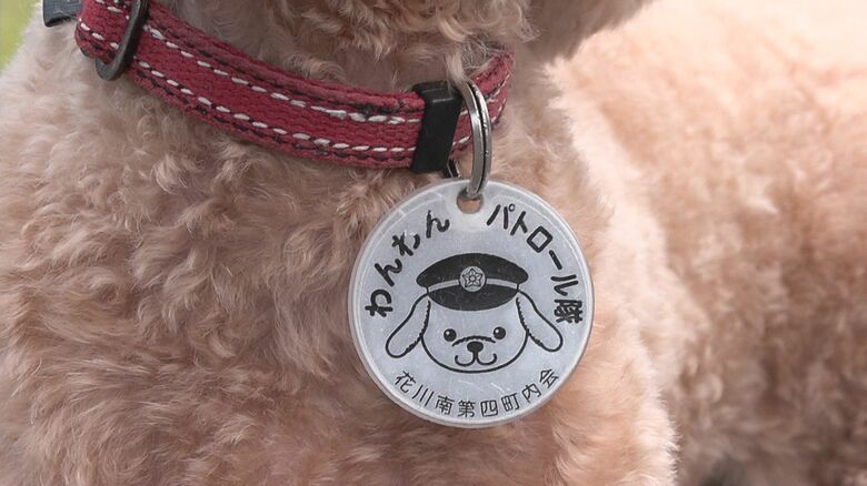 きなこの首には「わんわんパトロール隊」のバッジ