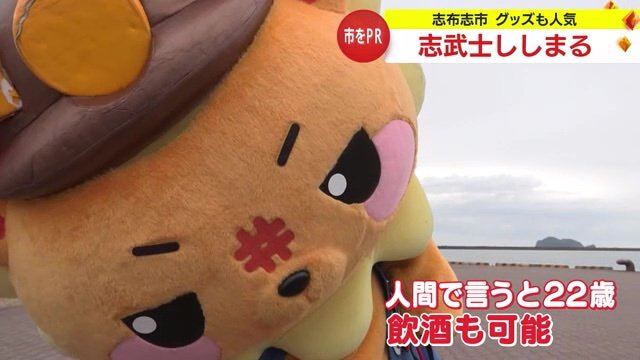 人間でいうと22歳のししまるは飲酒もできる