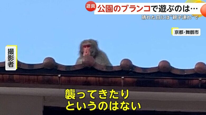 屋根に上るサル（FNN投稿サイト「ビデオPost」）