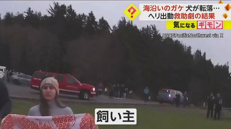 救助された犬に駆け寄る飼い主