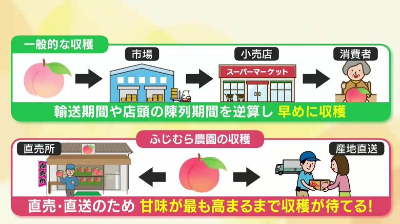甘味が最も高まる完熟の段階まで収穫を待って販売