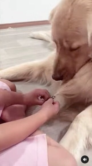 提供：西村 まひろさん