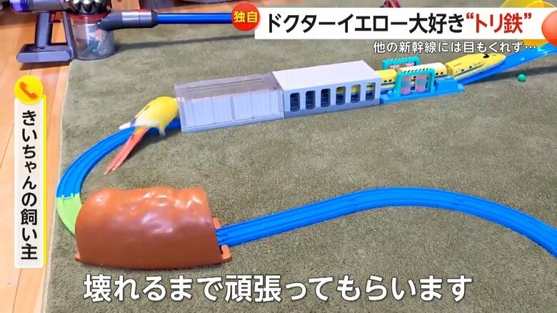 「壊れるまで頑張ってもらいます」と話すきいちゃんの飼い主