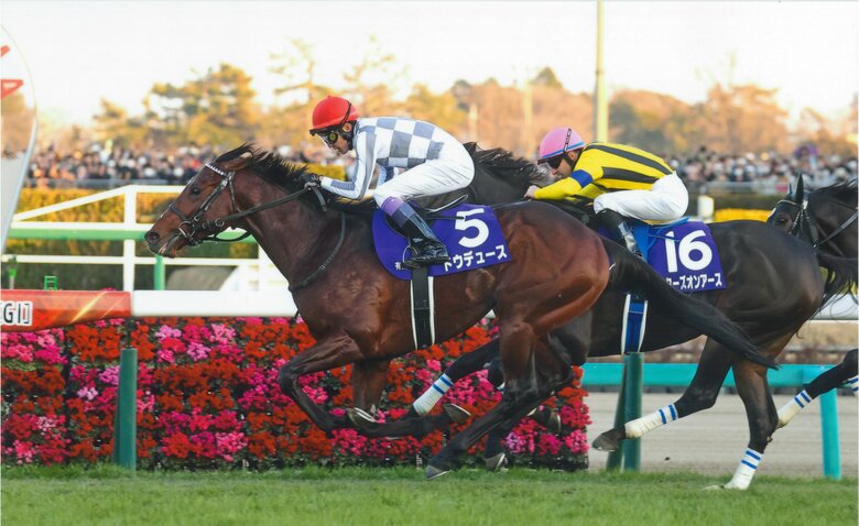秋古馬3冠達成へ挑む ドウデュース
