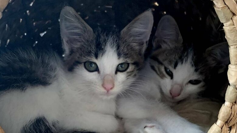 小さな時から仲良し