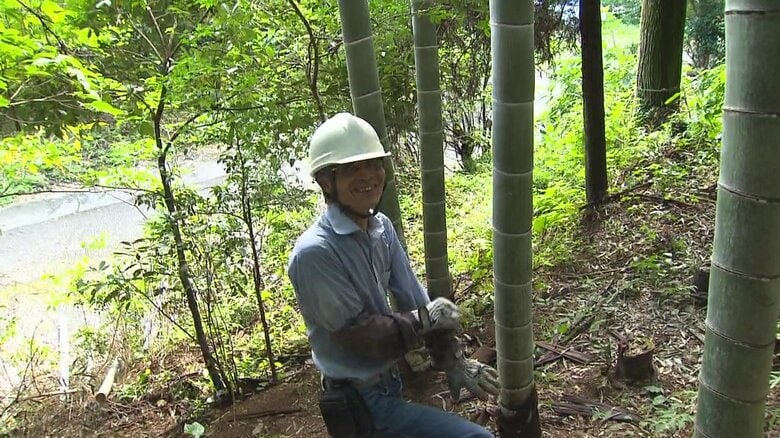 竹を伐採中の松原さん