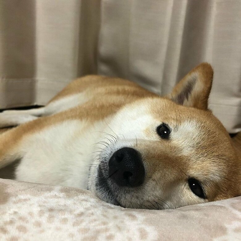 くつろぐ松くん