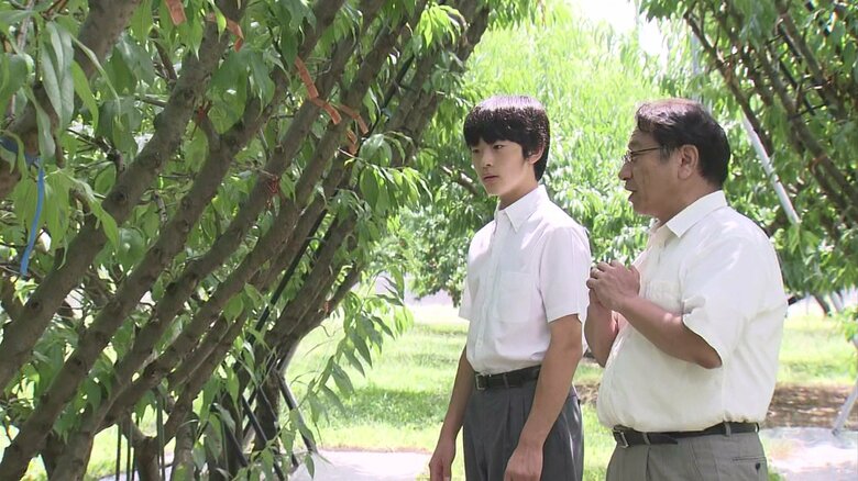 宮内庁提供　2023年8月撮影