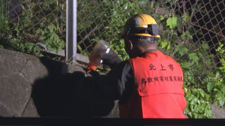 フェンス外側にハチミツを塗り、クマをおびき出す作戦