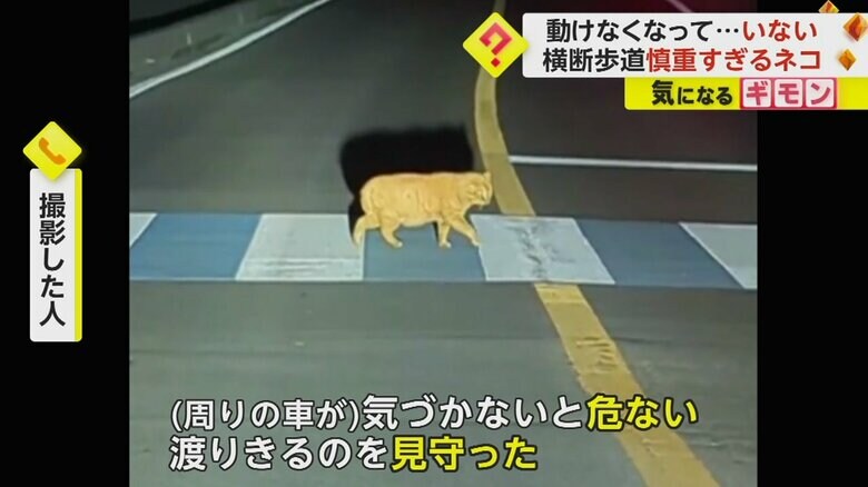 思わず車を停めたという撮影者