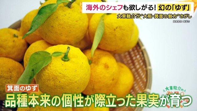 箕面の「実生ゆず」