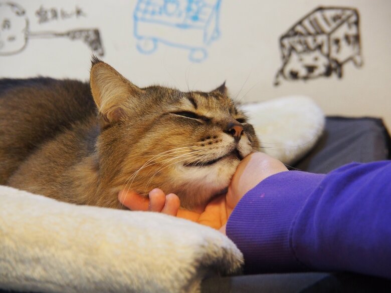 人間家族には甘えんぼ