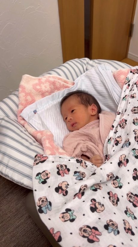 提供：柴犬 むぎさん