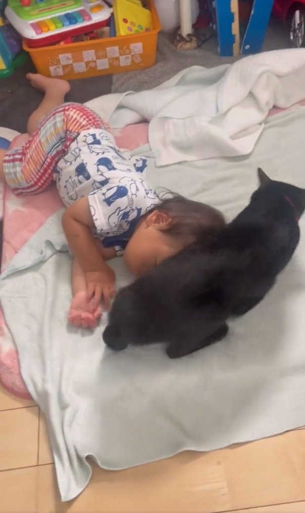 提供：ゴンゾウR4さん