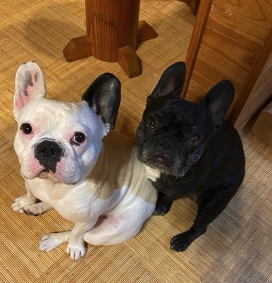 提供：天使の笑顔さん