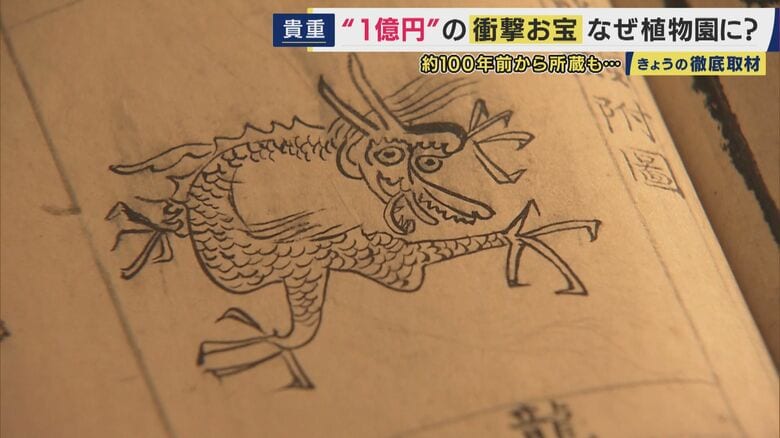 「本草綱目」の龍
